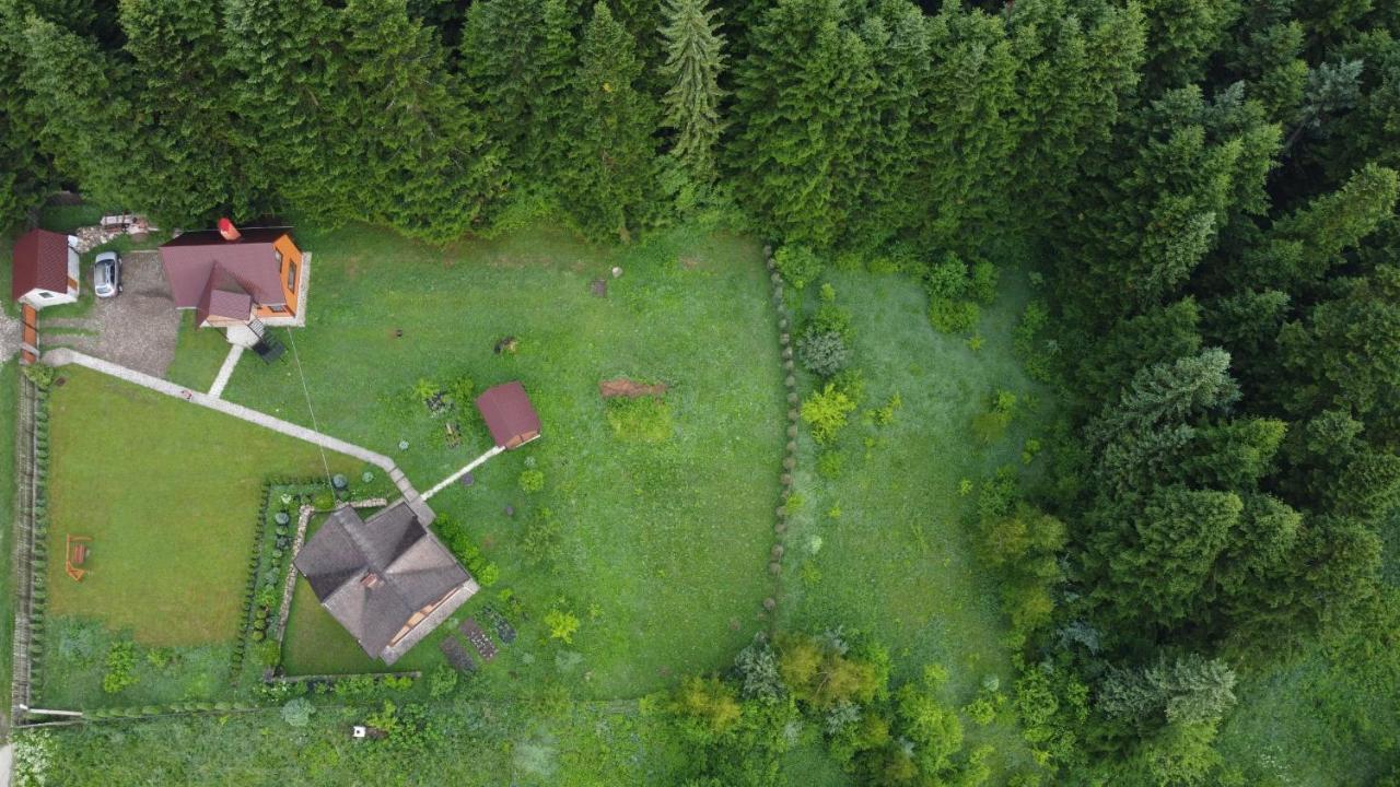 Sadyba Drymba Skhidnytsia Zewnętrze zdjęcie