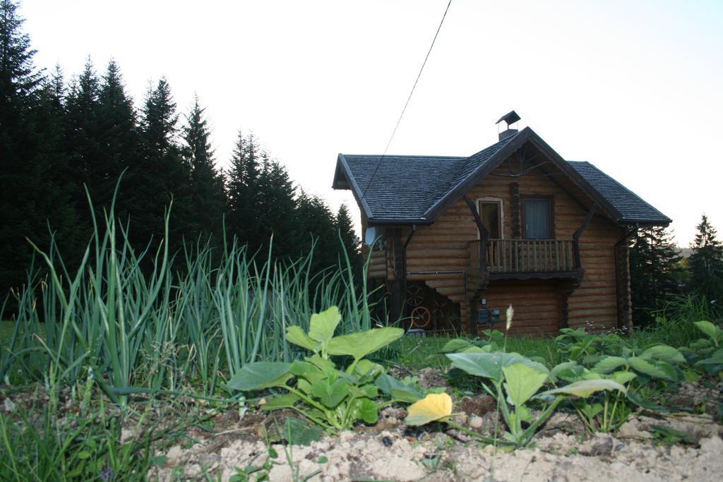 Sadyba Drymba Skhidnytsia Zewnętrze zdjęcie