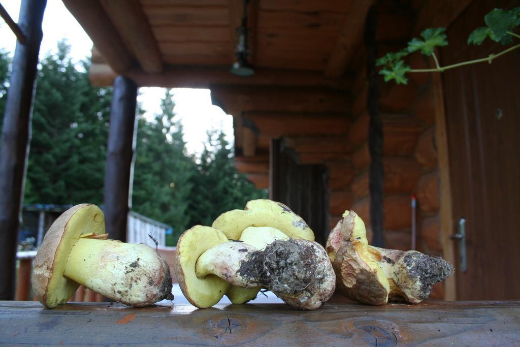 Sadyba Drymba Skhidnytsia Zewnętrze zdjęcie